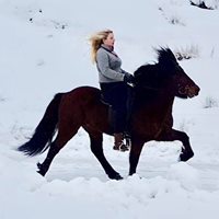 Magni 4 år gammel